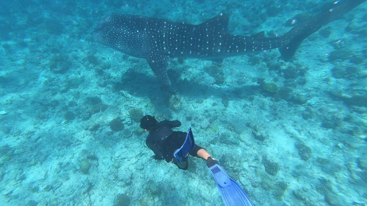 Dhangethi Inn Eksteriør bilde