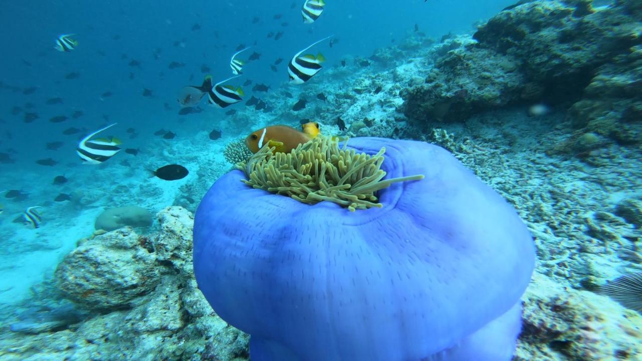 Dhangethi Inn Eksteriør bilde