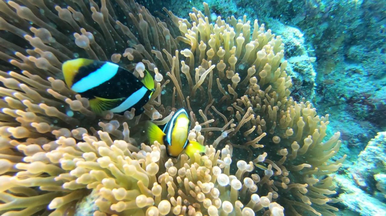 Dhangethi Inn Eksteriør bilde