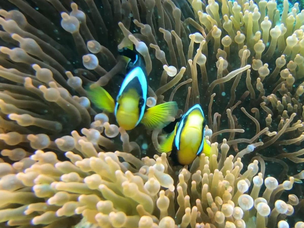 Dhangethi Inn Eksteriør bilde