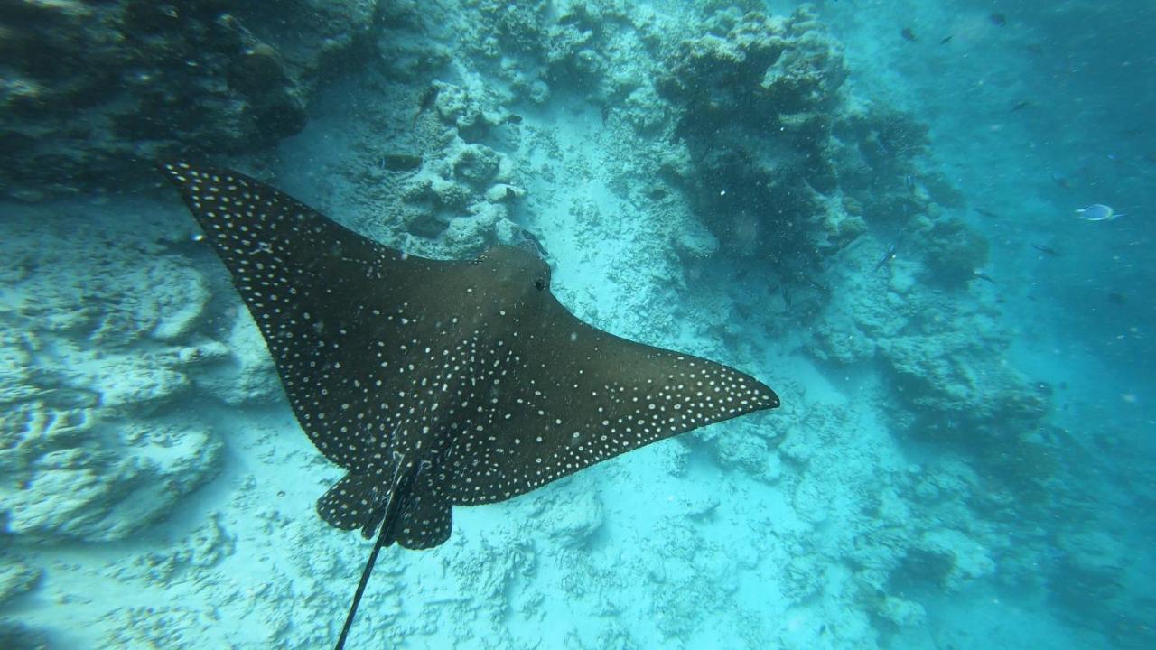 Dhangethi Inn Eksteriør bilde