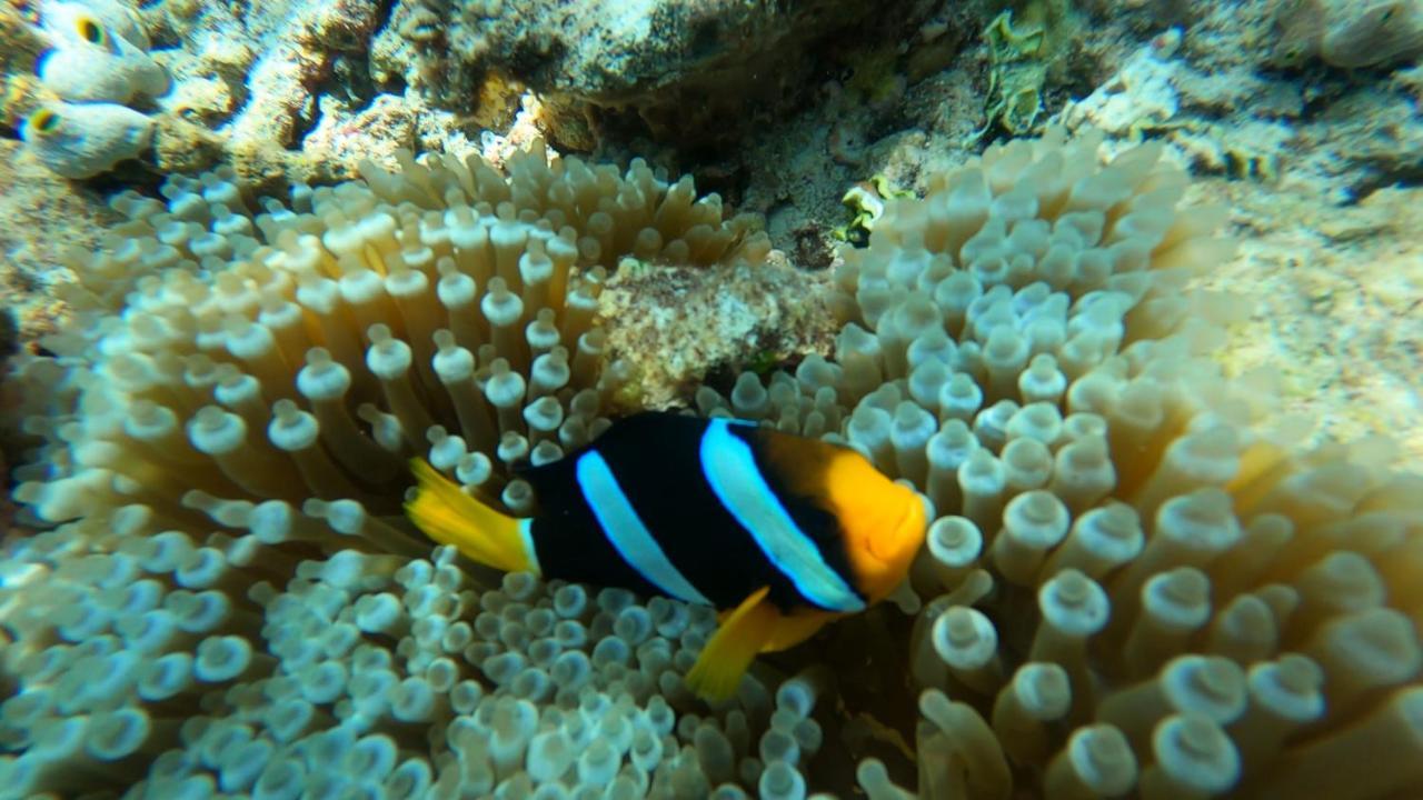 Dhangethi Inn Eksteriør bilde